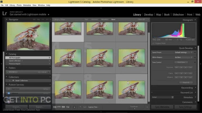 Helicon Focus Pro 2022 Free Download