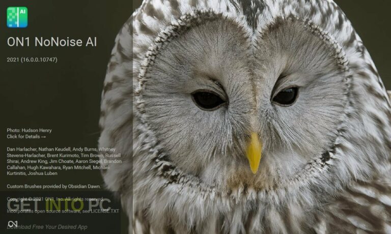 ON1 NoNoise AI 2021 Free Download