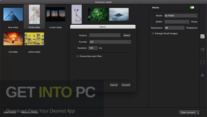 WidsMob WebP Free Download